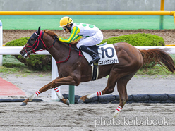 カラープリント(アルミ枠付き)2024年7月6日函館2R 3歳未勝利(ニホンピロトッティ)