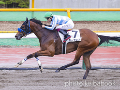 カラープリント(アルミ枠付き)2024年7月6日函館7R 3歳以上1勝クラス(ホークレア)