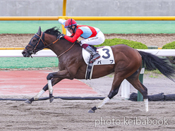 カラーパネル2024年7月6日函館8R 3歳以上1勝クラス(パフ)