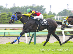 カラーパネル2024年7月6日函館9R 北斗特別(ブラックヴァール)