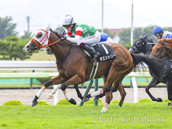 カラーパネル2024年7月6日函館10R 潮騒特別(ポエットリー)