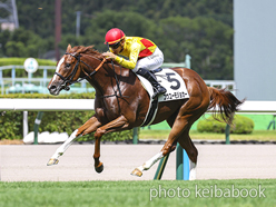 カラーパネル2024年7月7日小倉1R 2歳未勝利(コウユーモジョカー)