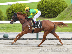 カラープリント(アルミ枠なし)2024年7月7日福島10R 天の川賞(ジョージテソーロ)