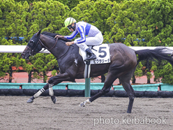 カラープリント(アルミ枠付き)2024年7月7日函館2R 3歳未勝利(ピクラリーダ)