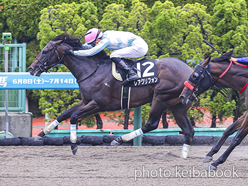 カラープリント(アルミ枠なし)2024年7月7日函館9R 噴火湾特別(レアグリフォン)