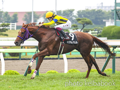 カラープリント(アルミ枠付き)2024年7月7日函館10R 横津岳特別(シリアルノヴェル)