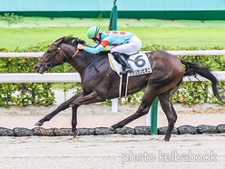 カラープリント(アルミ枠付き)2024年7月13日小倉1R 2歳未勝利(アメリカンビキニ)