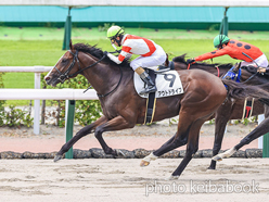 カラープリント(アルミ枠付き)2024年7月13日小倉4R 3歳未勝利(アウトドライブ)