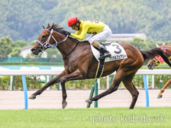 カラープリント(アルミ枠付き)2024年7月13日小倉5R 2歳新馬(マジカルフェアリー)