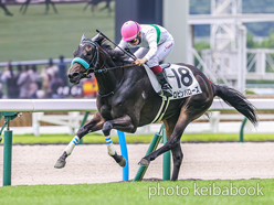 カラーパネル2024年7月13日小倉6R 3歳未勝利(ロビンバローズ)