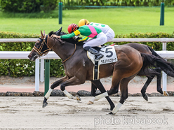 カラープリント(アルミ枠付き)2024年7月13日小倉7R 3歳以上1勝クラス(タガノチョコラータ)