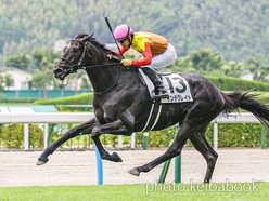 カラーパネル2024年7月13日小倉8R 3歳以上1勝クラス(インテグレイト)