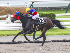 カラープリント(アルミ枠付き)2024年7月13日小倉11R 宮崎ステークス(クレスコジョケツ)