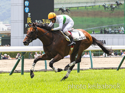 カラープリント(アルミ枠なし)2024年7月13日福島4R 3歳以上障害OP(グレートバローズ)