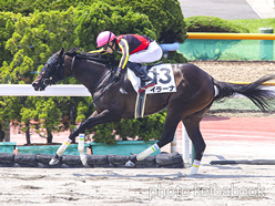 カラーパネル2024年7月13日函館2R 3歳未勝利(イラーナ)