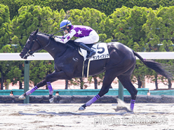 カラープリント(アルミ枠付き)2024年7月13日函館6R 3歳未勝利(サンライズシア)