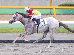 カラープリント(アルミ枠付き)2024年7月13日函館8R 3歳以上1勝クラス(スコーピオン)