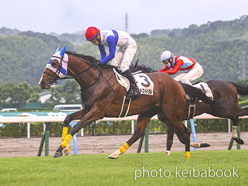 カラープリント(アルミ枠付き)2024年7月14日小倉1R 3歳以上障害未勝利(ロードスパイラル)