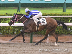 カラーパネル2024年7月14日小倉3R 3歳未勝利(フローラルセント)