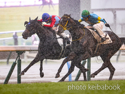 カラーパネル2024年7月14日小倉4R 3歳未勝利(キュクヌス)