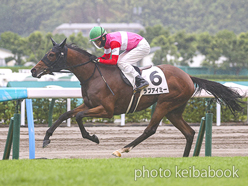 カラーパネル2024年7月14日小倉6R 2歳新馬(ラブアイミー)