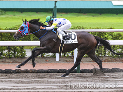 カラープリント(アルミ枠なし)2024年7月14日小倉7R 3歳未勝利(ピリー)