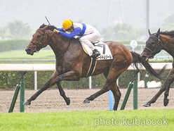 カラーパネル2024年7月14日小倉8R 3歳以上1勝クラス(ロードトレゾール)