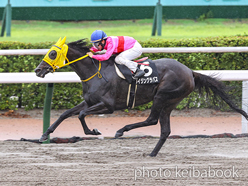 カラープリント(アルミ枠なし)2024年7月14日小倉10R 西部日刊スポーツ杯(ライジングラパス)