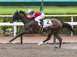 カラープリント(アルミ枠付き)2024年7月14日小倉12R 3歳以上1勝クラス(バガリーロータス)