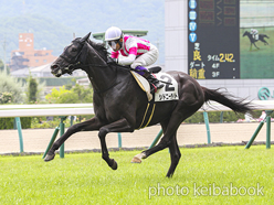 カラーパネル2024年7月14日福島3R 3歳未勝利(シドニーライト)