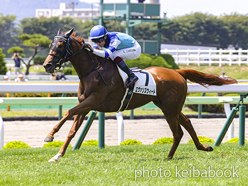 カラーパネル2024年7月14日函館3R 3歳未勝利(エヴァンスウィート)