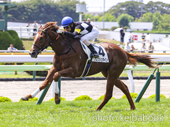 カラープリント(アルミ枠付き)2024年7月14日函館5R 2歳新馬(アスクシュタイン)