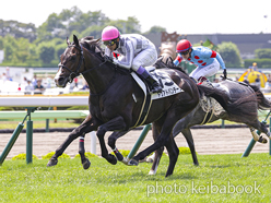 カラーパネル2024年7月14日函館6R 3歳未勝利(ドウアドバンテージ)