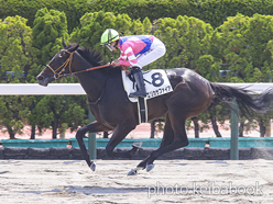 カラープリント(アルミ枠付き)2024年7月14日函館7R 3歳以上1勝クラス(エリカサファイア)