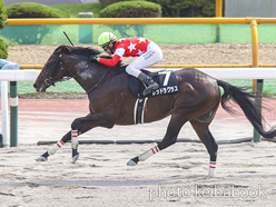 カラープリント(アルミ枠付き)2024年7月14日函館10R 駒場特別(レッドラグラス)