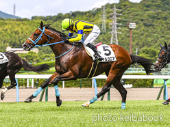 カラープリント(アルミ枠付き)2024年7月20日小倉1R 3歳以上障害OP(ファルコニア)