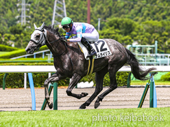 カラーパネル2024年7月20日小倉2R 3歳未勝利(ナムライリス)