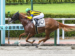 カラーパネル2024年7月20日小倉3R 3歳未勝利(マサレエトワール)