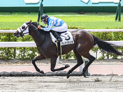 カラーパネル2024年7月20日小倉6R 3歳未勝利(アレナパラシオ)