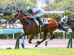 カラープリント(アルミ枠付き)2024年7月20日小倉7R 3歳以上1勝クラス(チェレスタ)