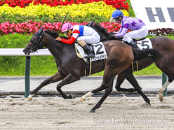 カラーパネル2024年7月20日福島1R 2歳未勝利(アイビーヒメチャン)