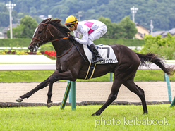 カラーパネル2024年7月20日福島5R 2歳新馬(ピコチャンブラック)