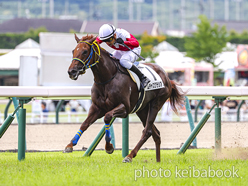 カラーパネル2024年7月20日福島7R 3歳未勝利(ムチャスグラシアス)