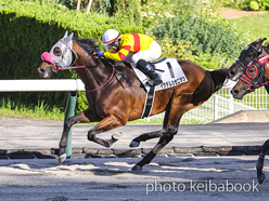 カラープリント(アルミ枠付き)2024年7月20日福島12R 3歳以上1勝クラス(イサチルカゼニタツ)