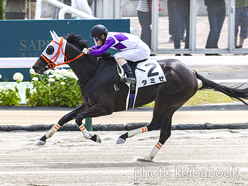 カラーパネル2024年7月20日札幌2R 3歳未勝利(タミゼ)