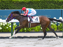 カラープリント(アルミ枠付き)2024年7月20日札幌5R 2歳新馬(ナチュラルライズ)