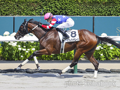 カラープリント(アルミ枠付き)2024年7月20日札幌8R 3歳以上1勝クラス(リフレクトザムーン)