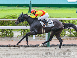 カラープリント(アルミ枠付き)2024年7月21日小倉3R 3歳未勝利(アンリーベイビー)