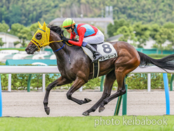 カラープリント(アルミ枠付き)2024年7月21日小倉5R 2歳新馬(ブルーレース)