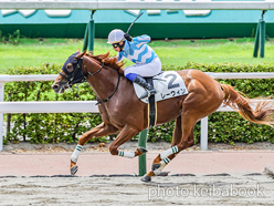 カラーパネル2024年7月21日小倉6R 3歳未勝利(レーウィン)